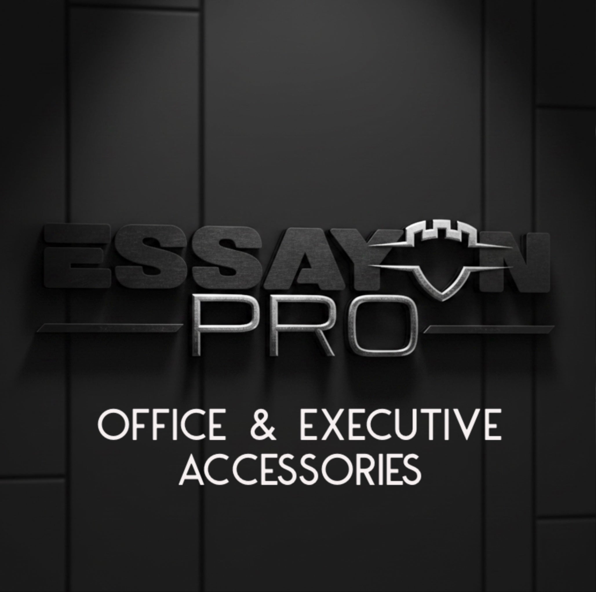 Essayon Pro