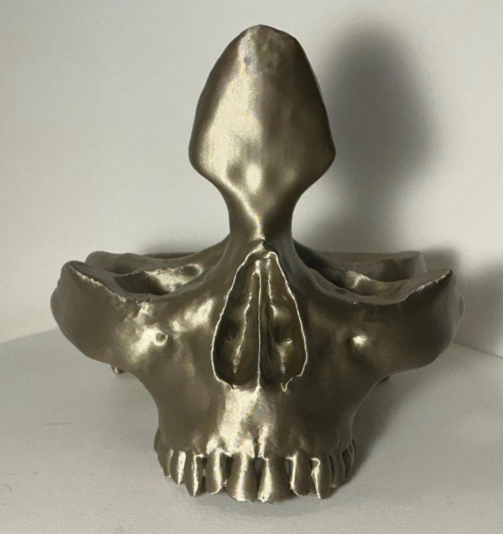 Skull Eyeglass Holder