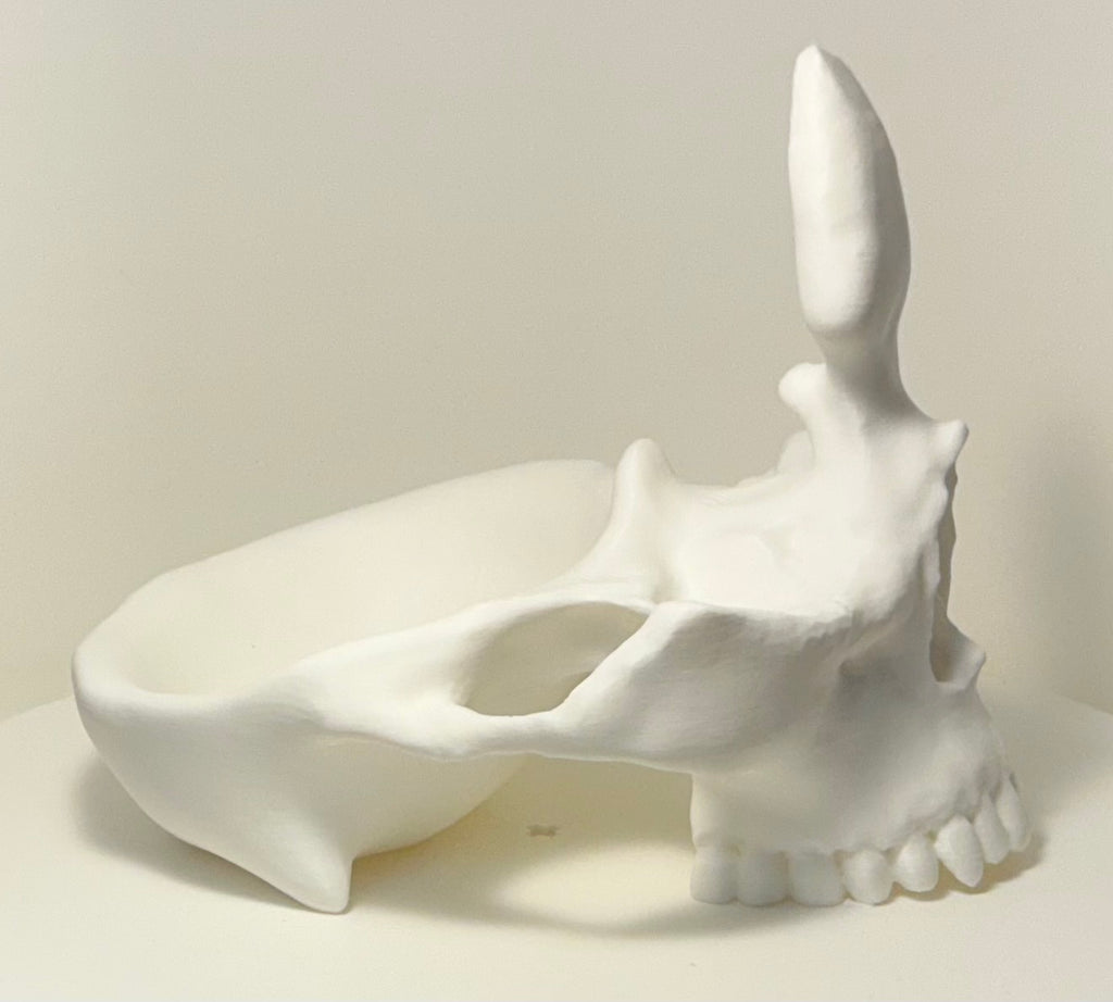 Skull Eyeglass Holder